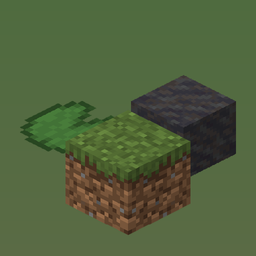 Swamp
