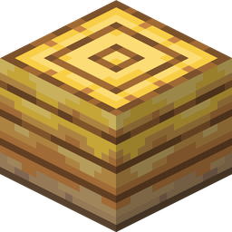Bee Nest