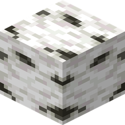 Birch Wood