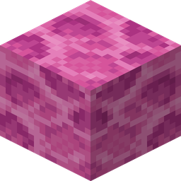 Brain Coral Block