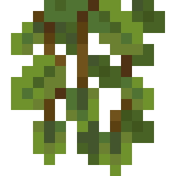 Cave Vines