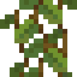 Cave Vines Plant