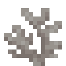 Dead Horn Coral
