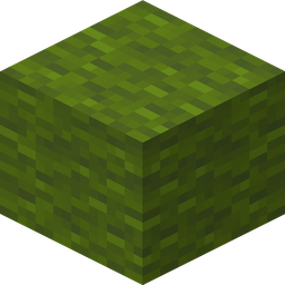 Green Wool