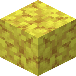 Horn Coral Block