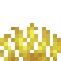 Horn Coral Fan