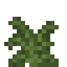 Large Fern