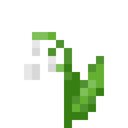 Lily of the Valley