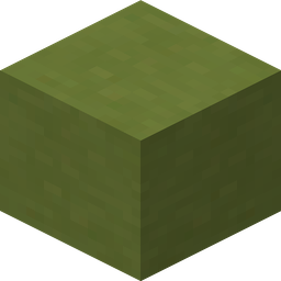 Lime Terracotta