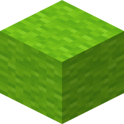 Lime Wool
