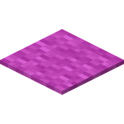Magenta Carpet