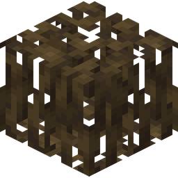 Mangrove Roots