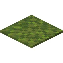 Moss Carpet