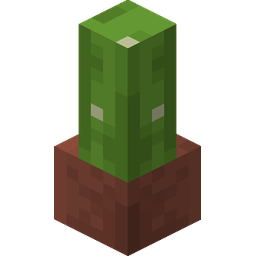 Potted Cactus