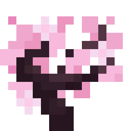 Potted Cherry Sapling