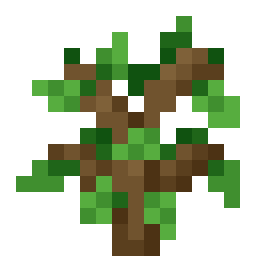 Potted Oak Sapling