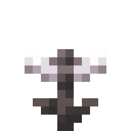 Potted Open Eyeblossom