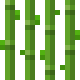 Sugar Cane