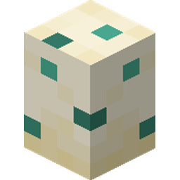 Turtle Egg