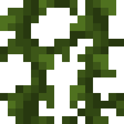 Vines