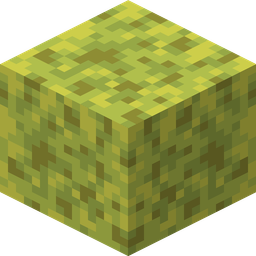 Wet Sponge
