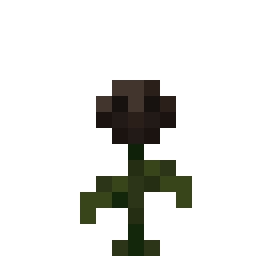Wither Rose