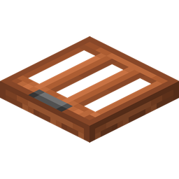 Acacia Trapdoor
