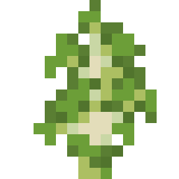 Birch Sapling