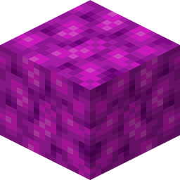Bubble Coral Block