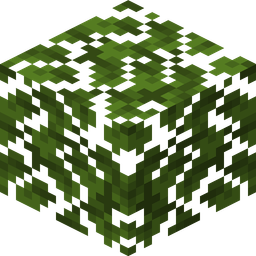 Dark Oak Leaves