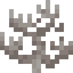 Dead Fire Coral
