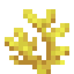 Horn Coral