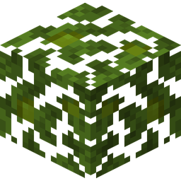 Jungle Leaves