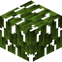 Mangrove Leaves