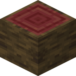 Mangrove Log