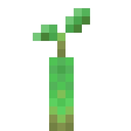 Mangrove Propagule