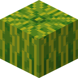 Melon