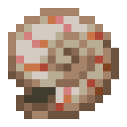 Nautilus Shell
