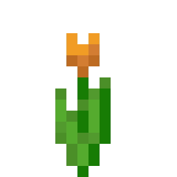 Orange Tulip