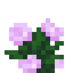 Peony
