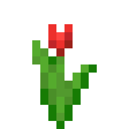 Red Tulip