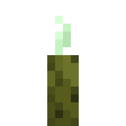 Sea Pickle