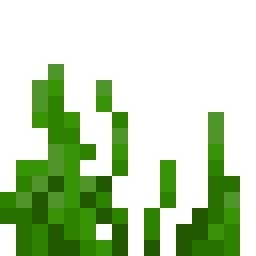 Seagrass