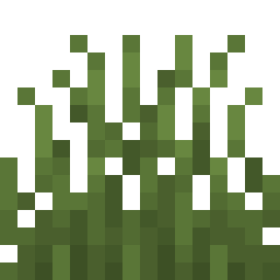Short Grass