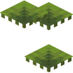 Small Dripleaf