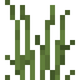 Tall Grass