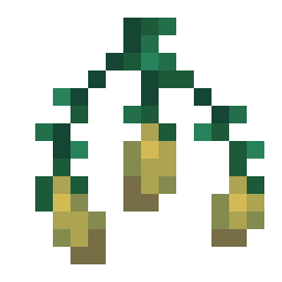 Torchflower Seeds