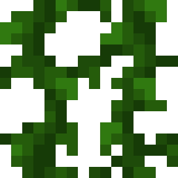 Vines