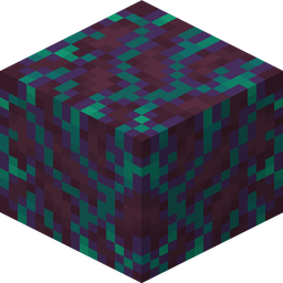 Warped Hyphae