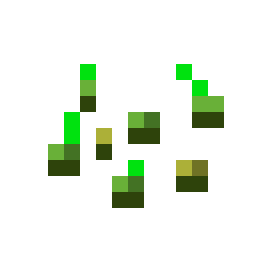 Wheat Seeds
